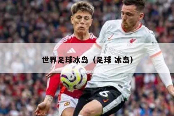 世界足球冰岛（足球 冰岛）