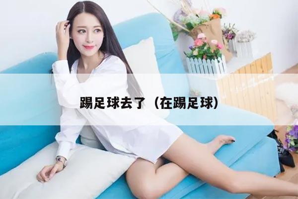 踢足球去了（在踢足球）