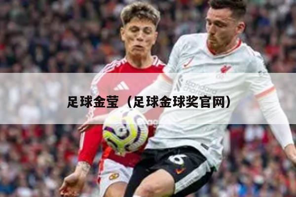 足球金莹（足球金球奖官网）