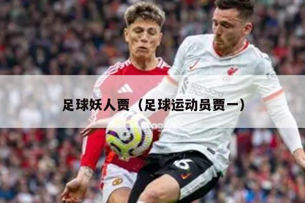 足球妖人贾（足球运动员贾一）