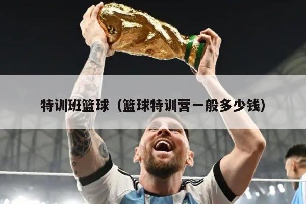 特训班篮球(篮球特训营一般多少钱)