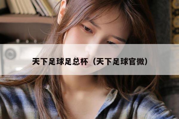 天下足球足总杯（天下足球官微）