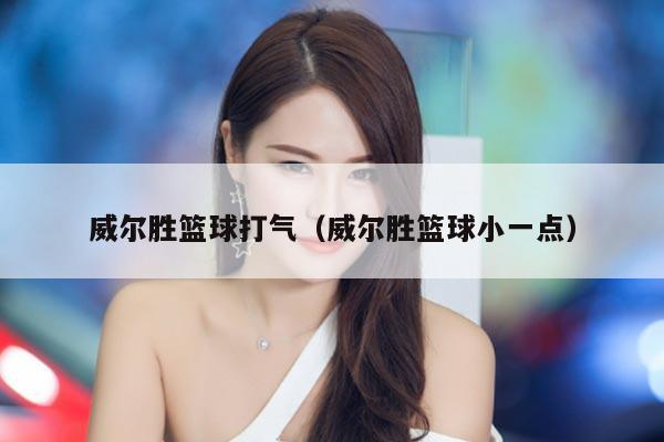 威尔胜篮球打气（威尔胜篮球小一点）