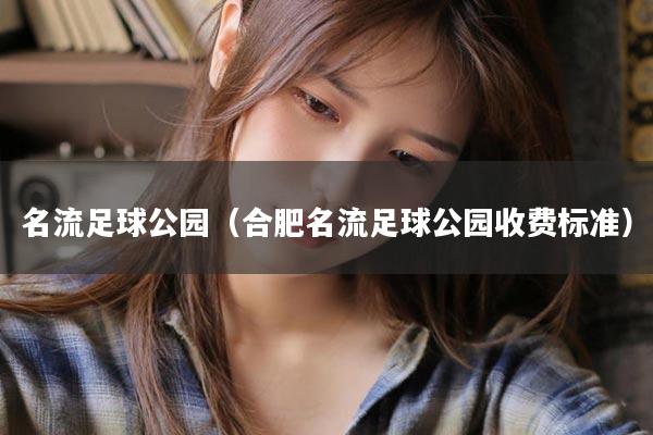 名流足球公园（合肥名流足球公园收费标准）