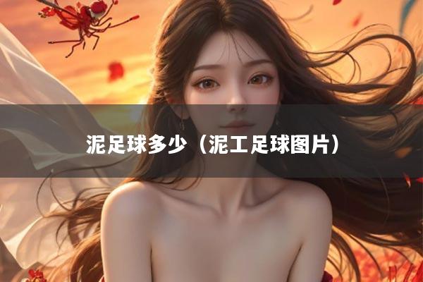泥足球多少（泥工足球图片）