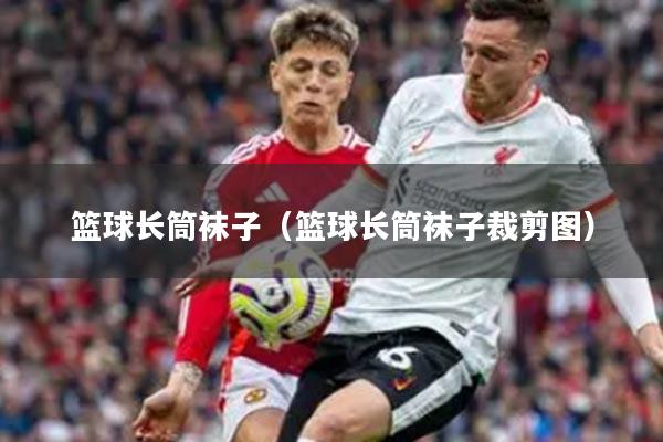 篮球长筒袜子（篮球长筒袜子裁剪图）