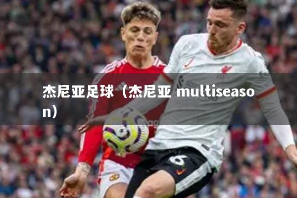 杰尼亚足球（杰尼亚 multiseason）