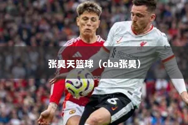 张昊天篮球（cba张昊）